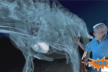 史前巨型恐龙下载 233MB 热点直击类VR视频