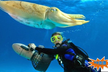 印尼壮观海底奇观VR视频下载 30MB 环球旅行类