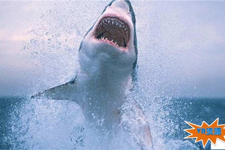 嗜血大白鲨下载 111MB 悬疑惊悚类VR视频