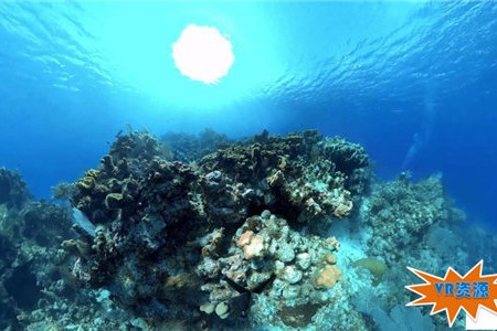 梦幻海底珊瑚下载 162MB 环球旅行类VR视频