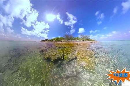 苍鹭岛海底生活下载 131MB 环球旅行类VR视频